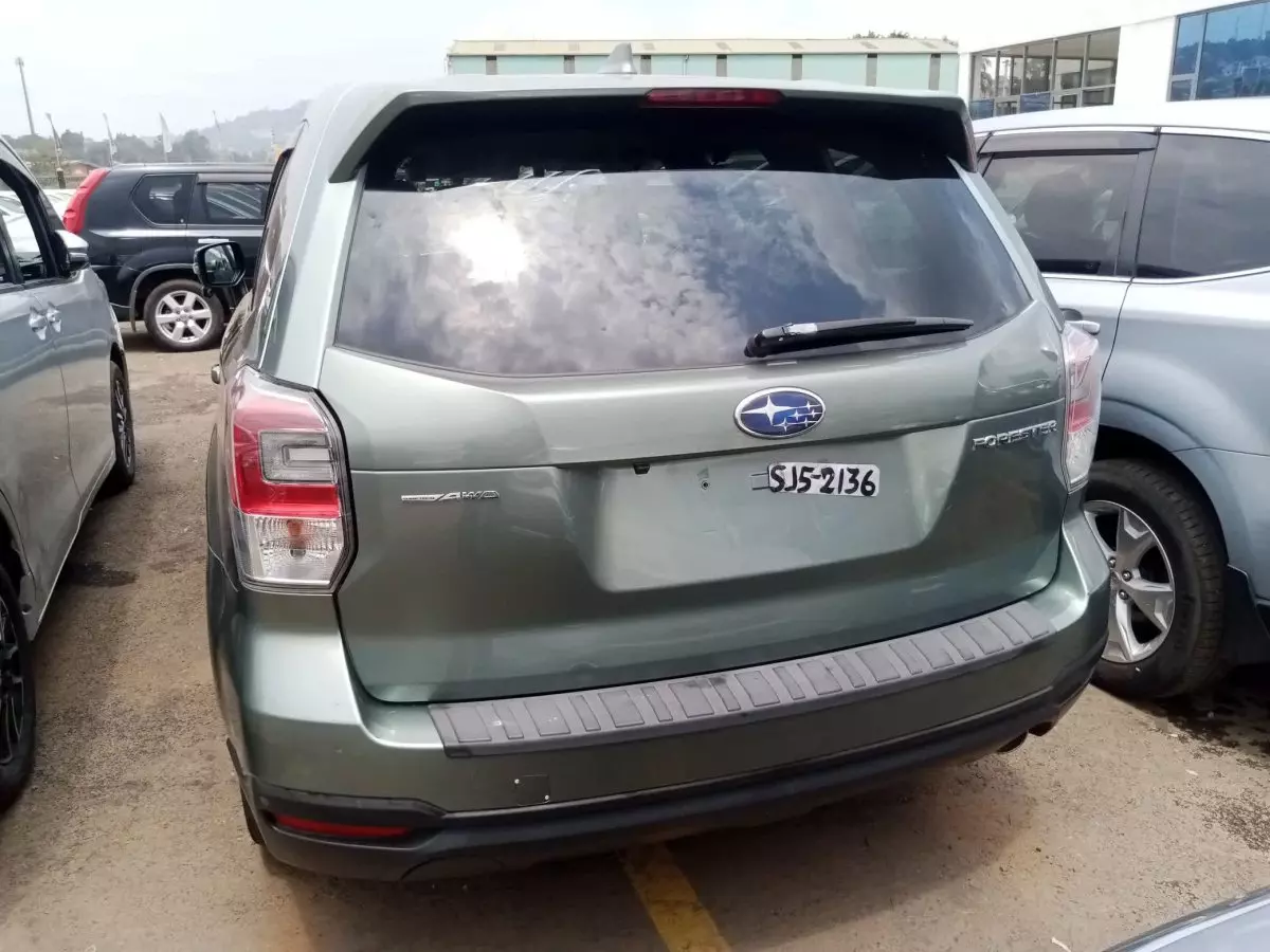 car Back