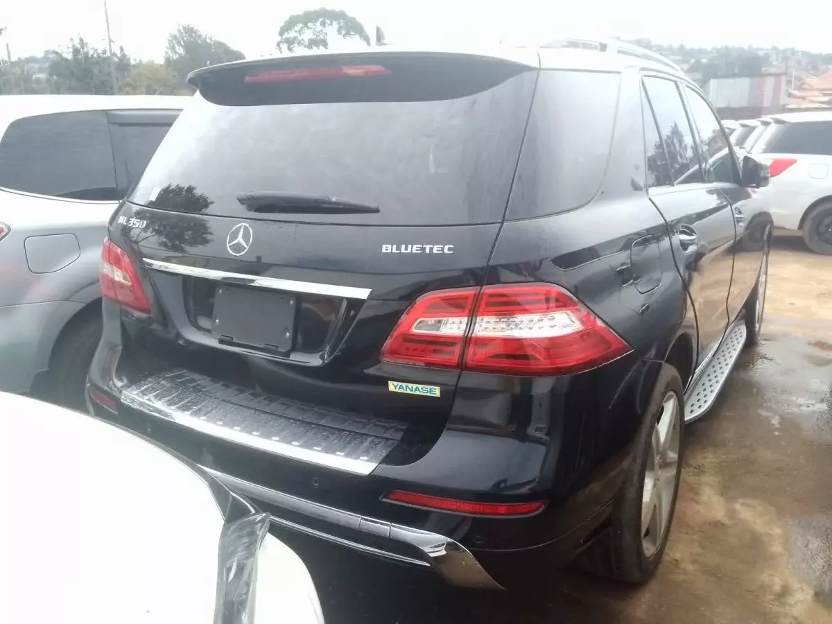 car Right Back