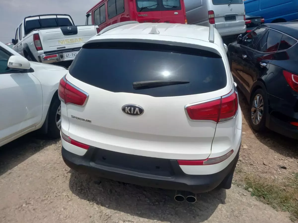 car Back
