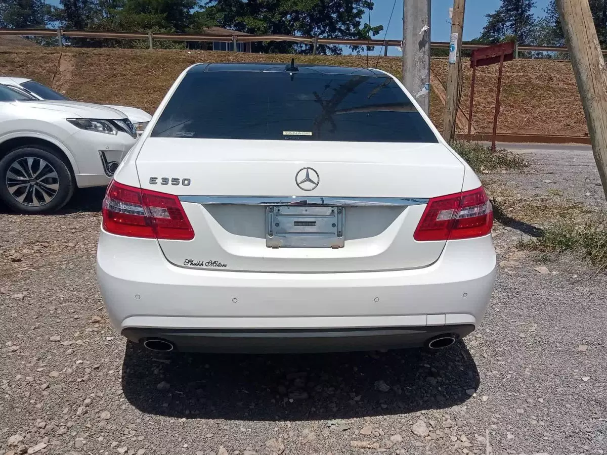 car Back