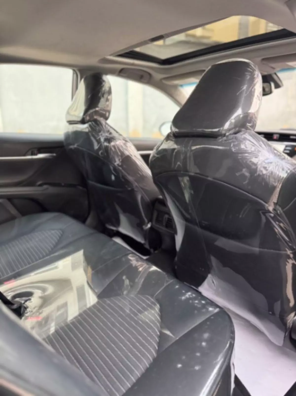 interiorBack