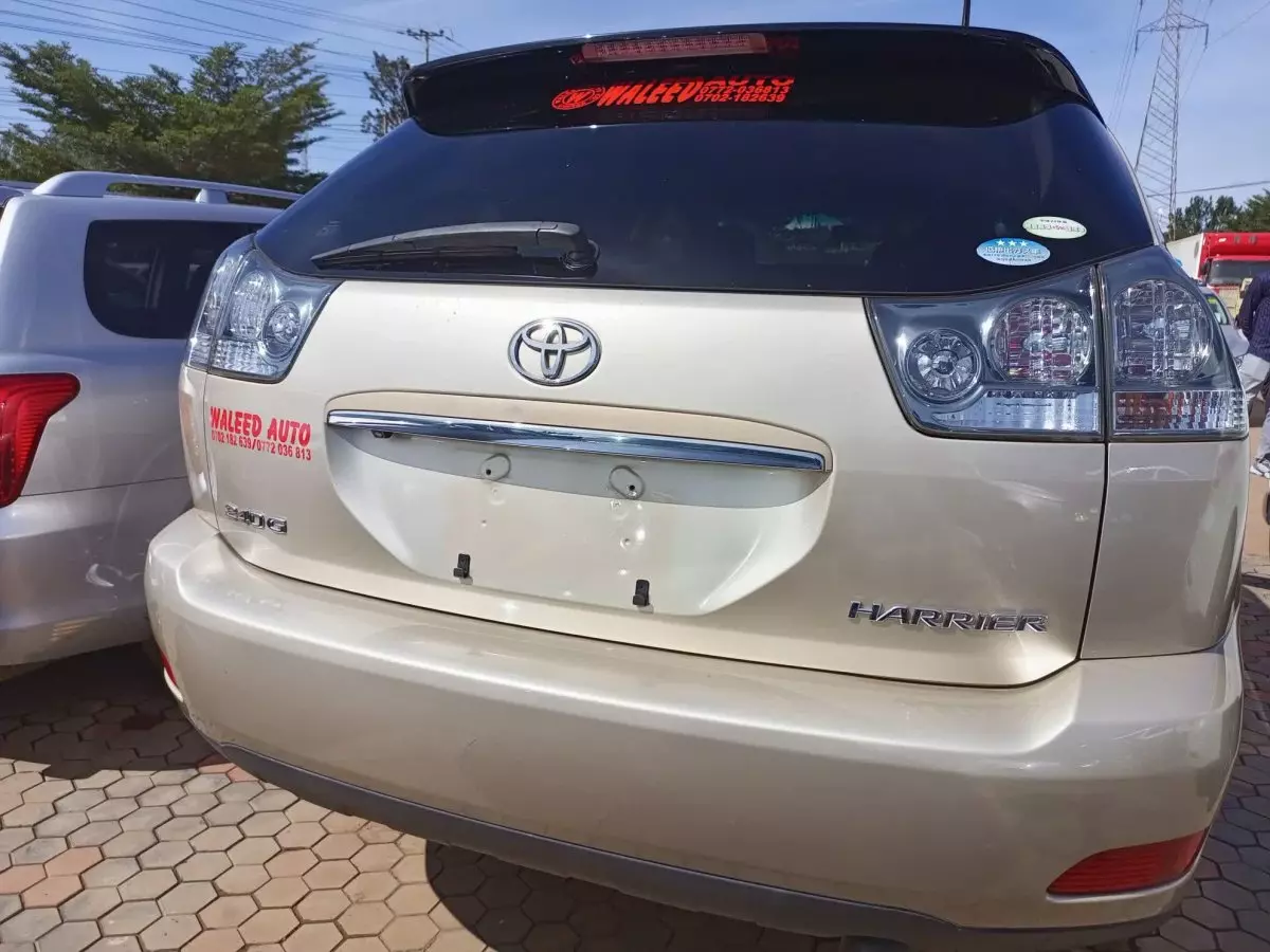 car Back
