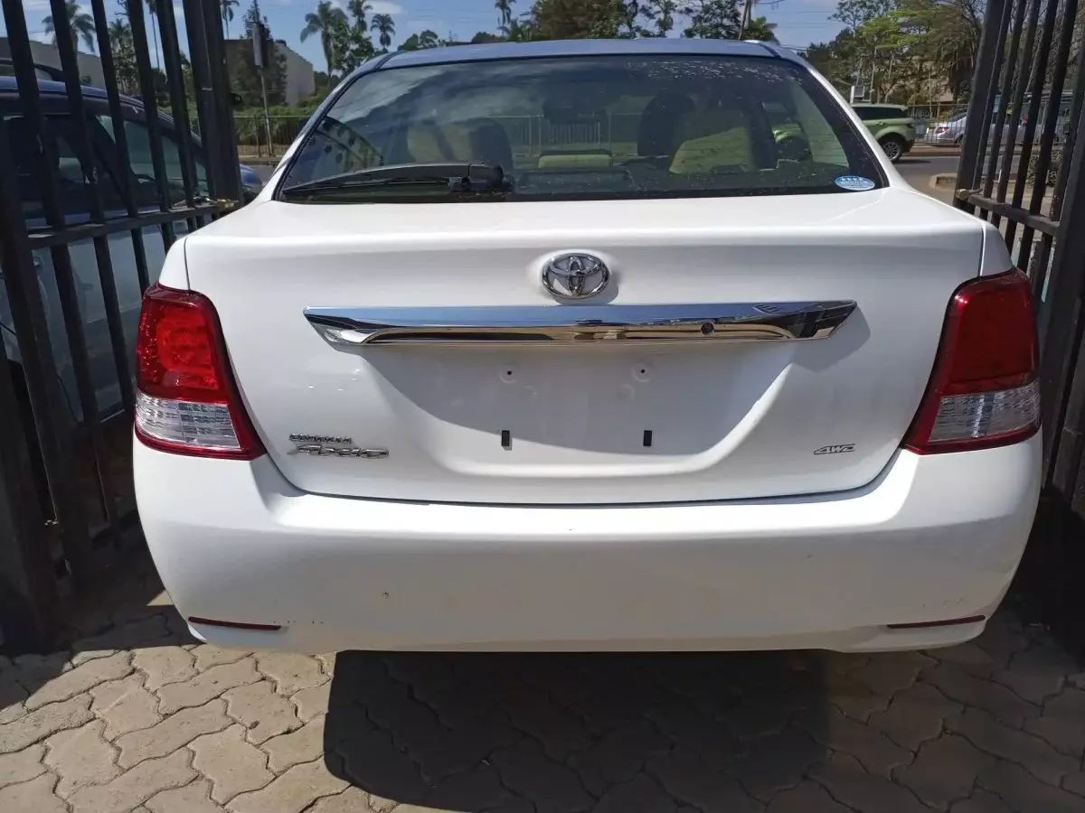 Car Back