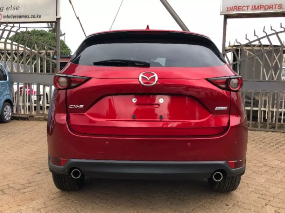 back