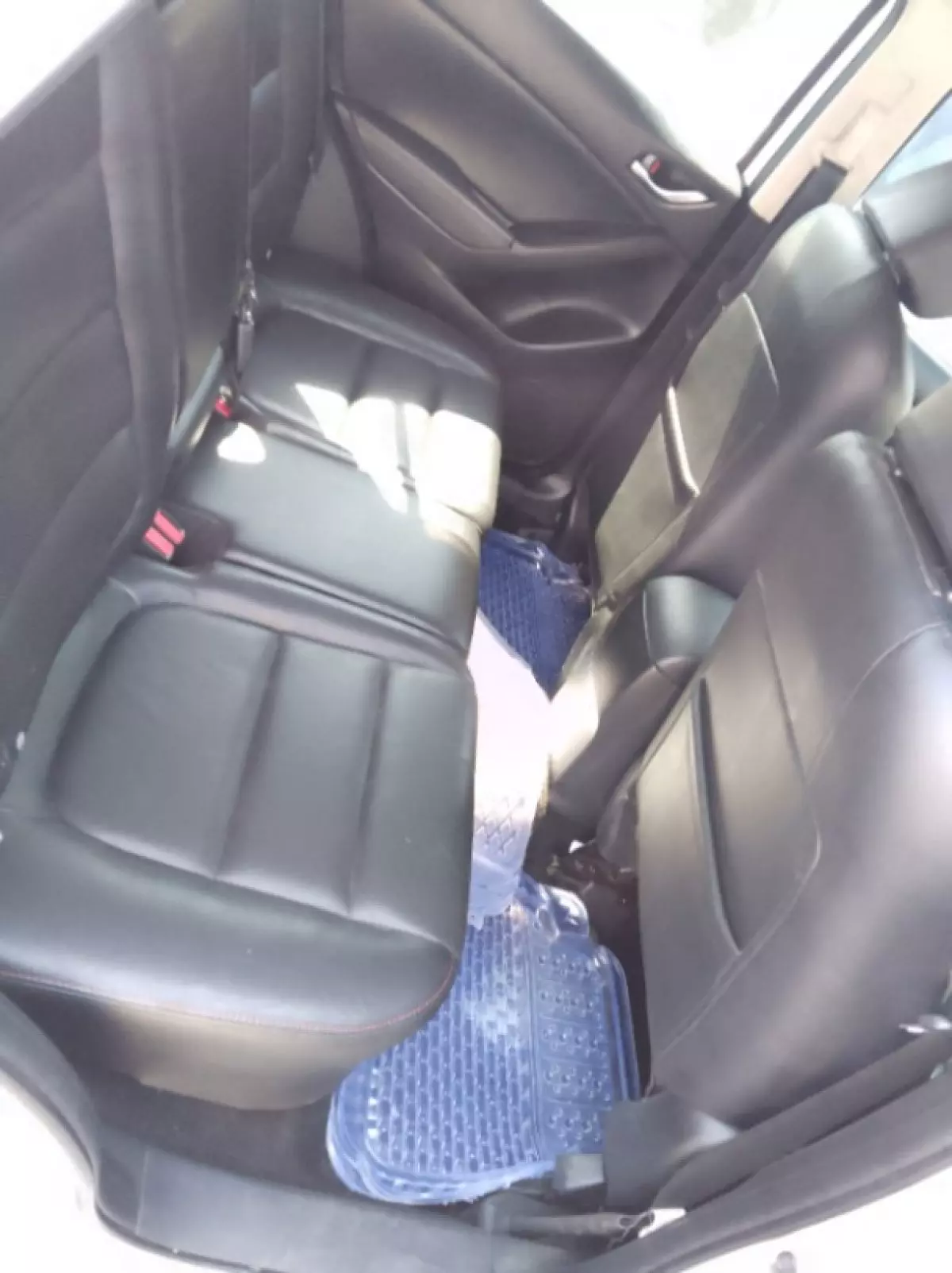 interiorBack