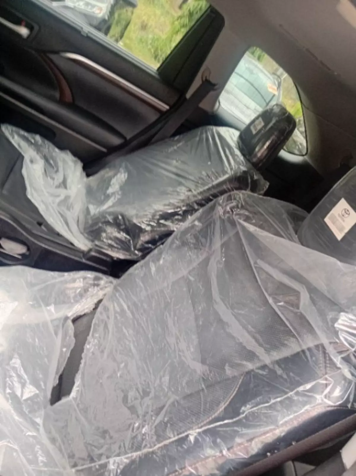 interiorBack