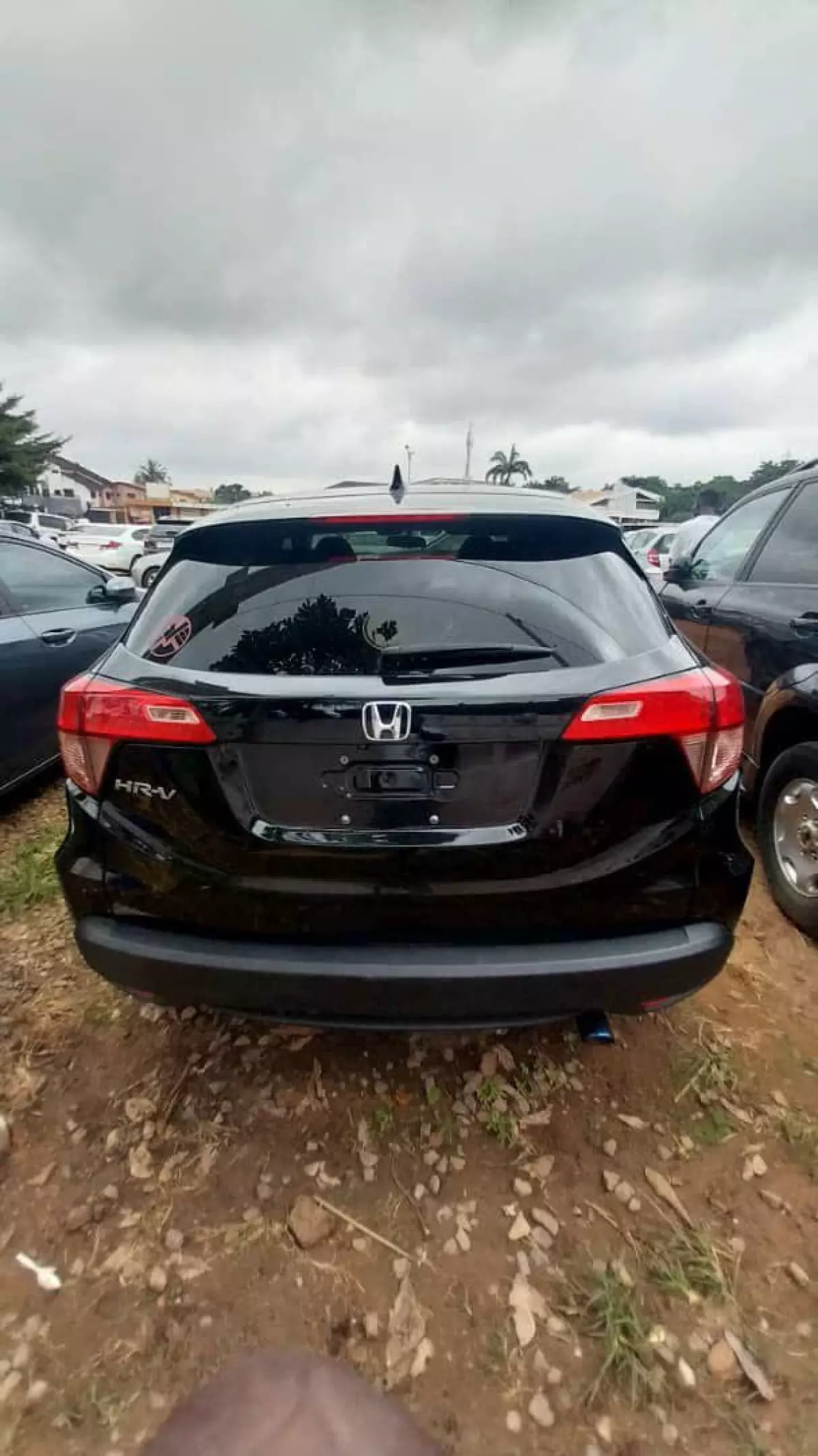 car Back