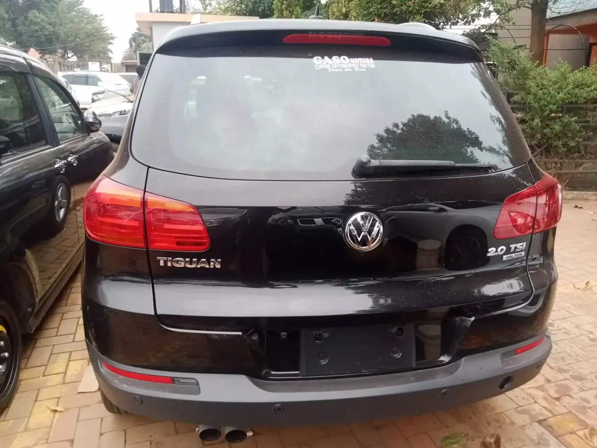 car Back