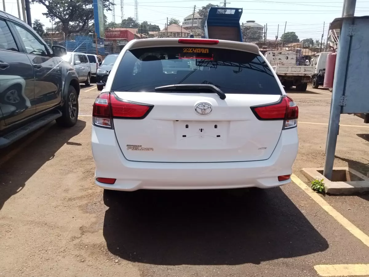 car Back