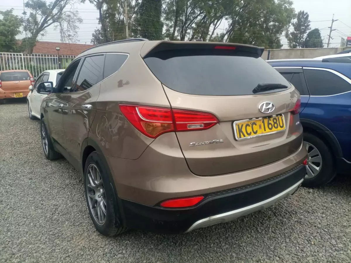 car Back