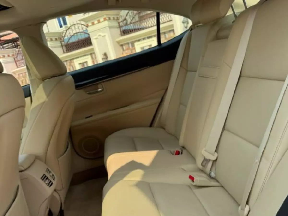 interiorBack