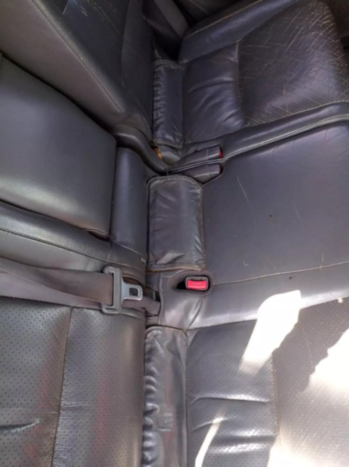 interiorBack