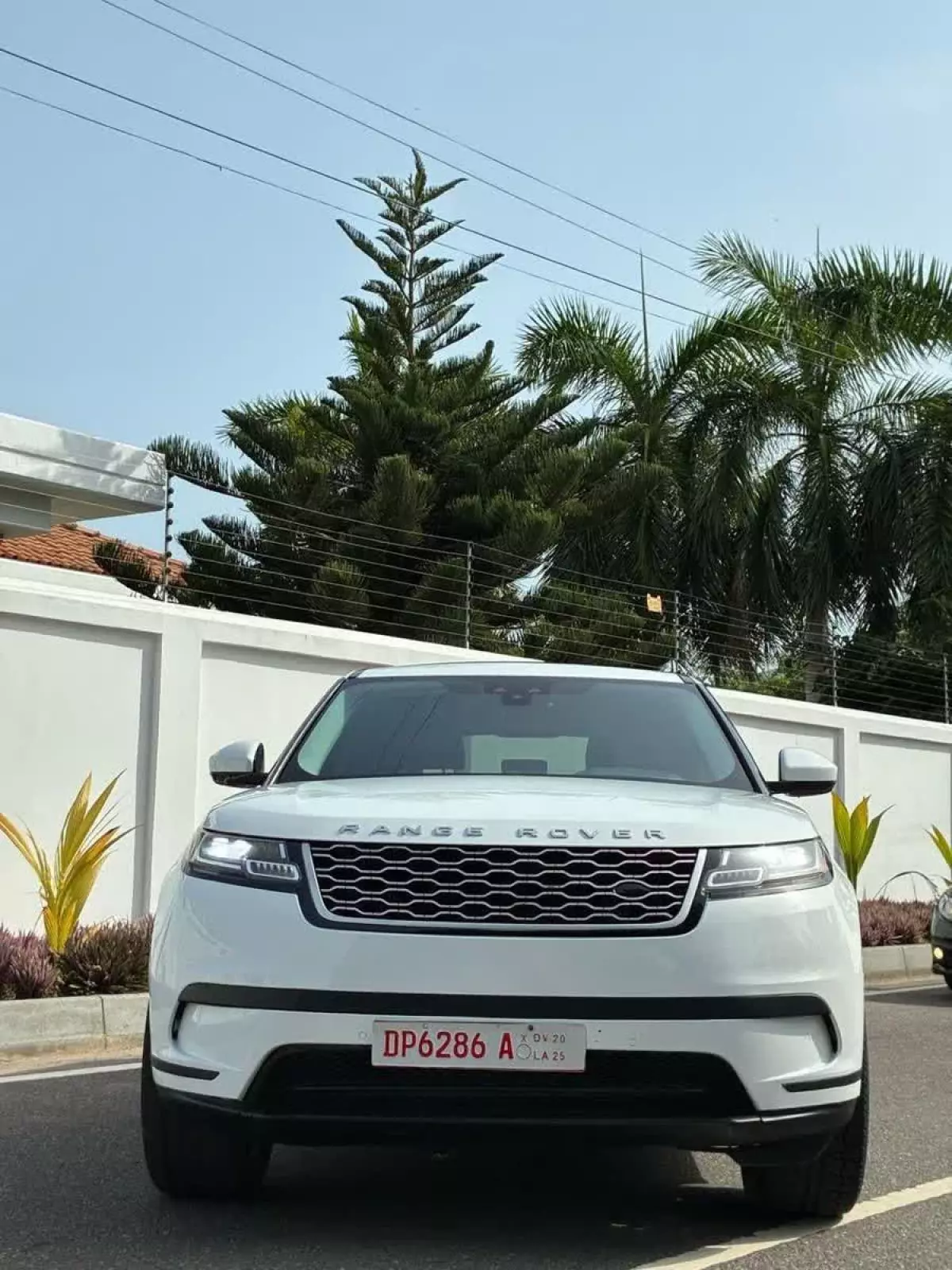 car Back