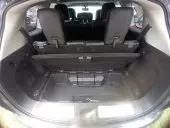 trunk