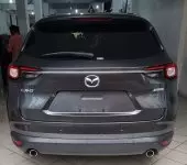 back