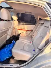 interiorBack