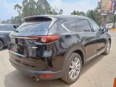 car Right Back