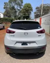 back