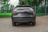 back