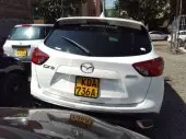back