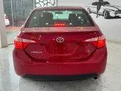 car Back