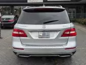 car Back