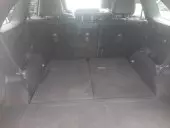 trunk