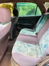 interiorBack