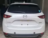 back
