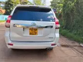 car Back