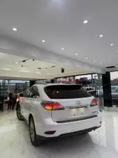 car Left Back