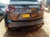 car Back