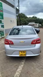 back