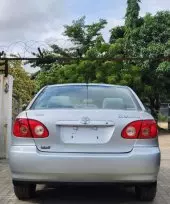 back