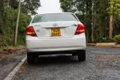 back
