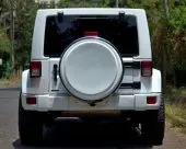 back