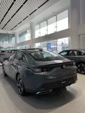 Untitled design (31).png