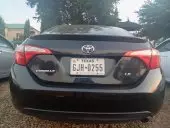car Back