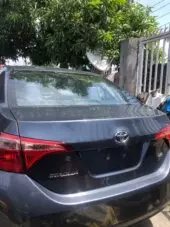 back