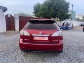 car Back