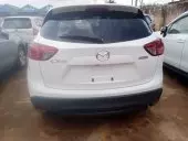 car Back