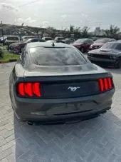 back