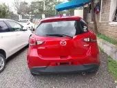 car Back