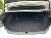 trunk
