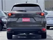 car Back