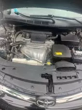 interiorBack