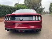 back