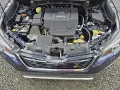 bonnet