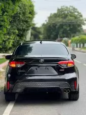 car Back