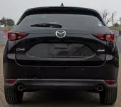 back
